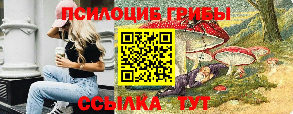 как найти   Псилоцибиновые грибы ЛСД  Киров  Вход с VPN  Галлюциногенные грибы Cubensis 